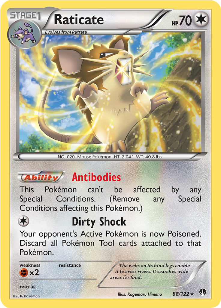 Raticate Reverse Holo